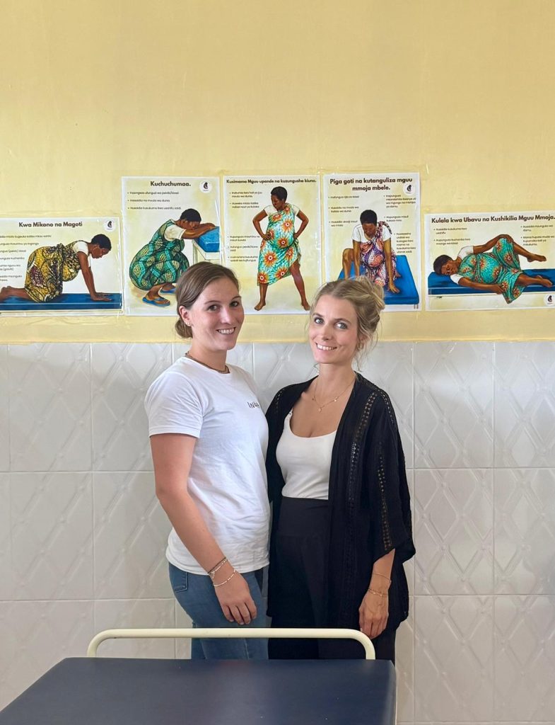 Poster Geburtspositionen