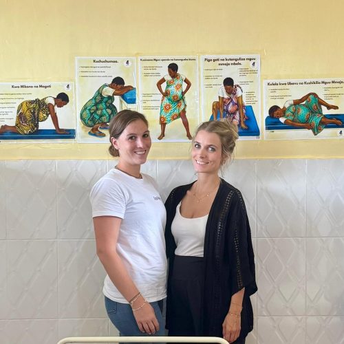 Poster Geburtspositionen